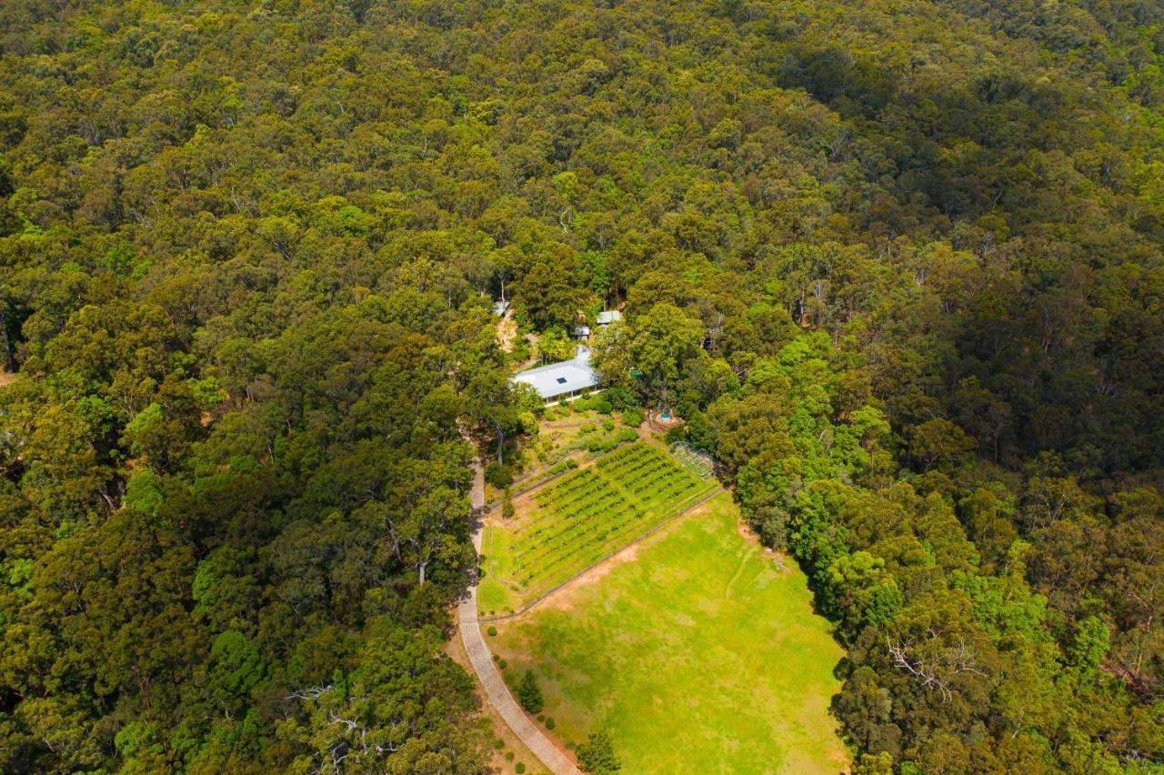 Wallaby Ridge Retreat Mount Tamborine Zewnętrze zdjęcie