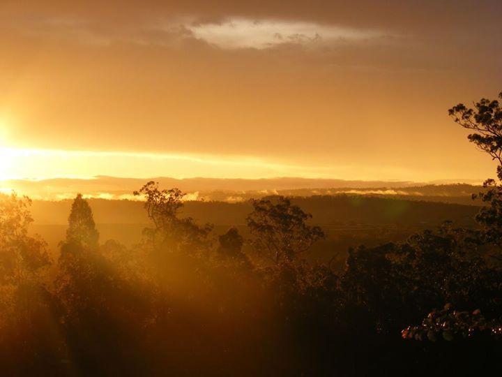 Wallaby Ridge Retreat Mount Tamborine Zewnętrze zdjęcie
